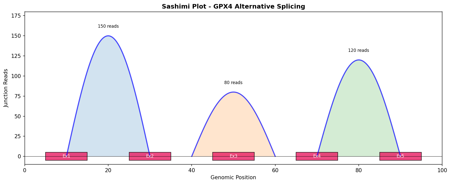 GPX4 Sashimi Plot
